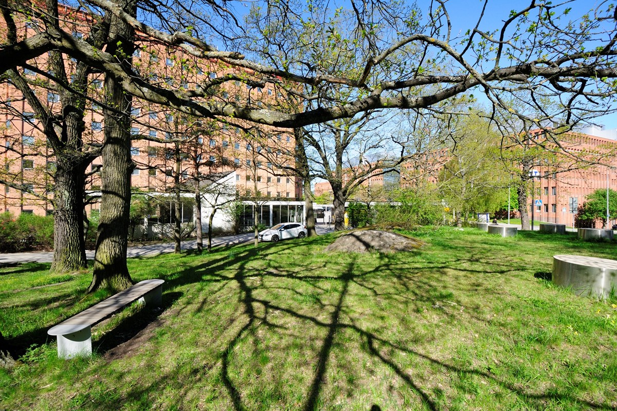 Solna strand