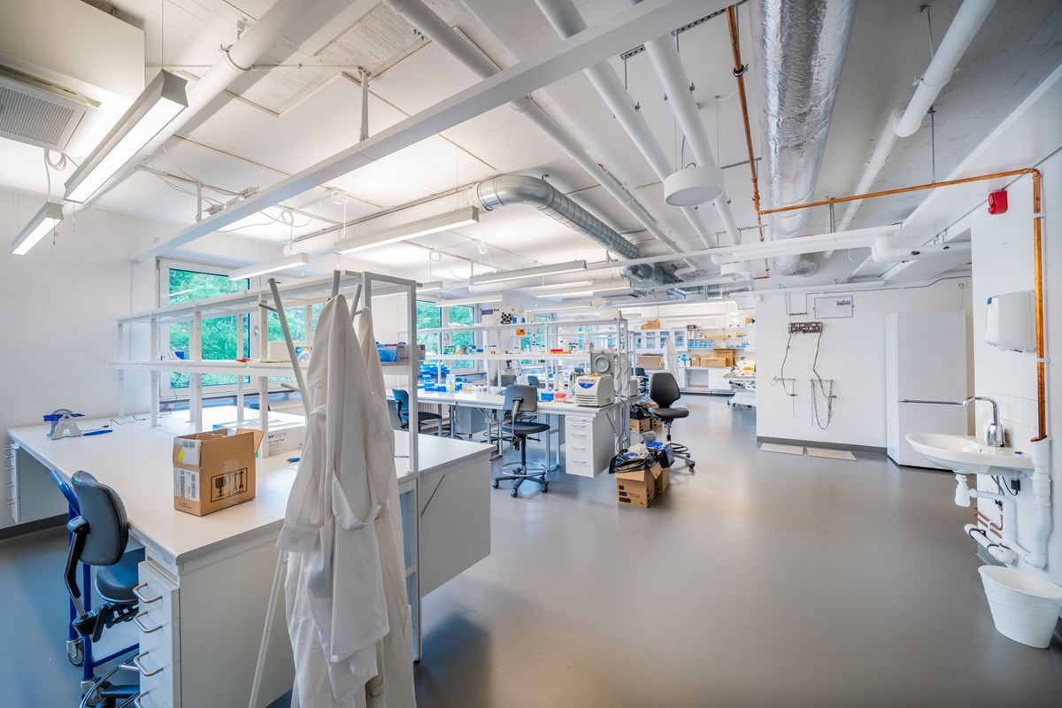 Lab minljö