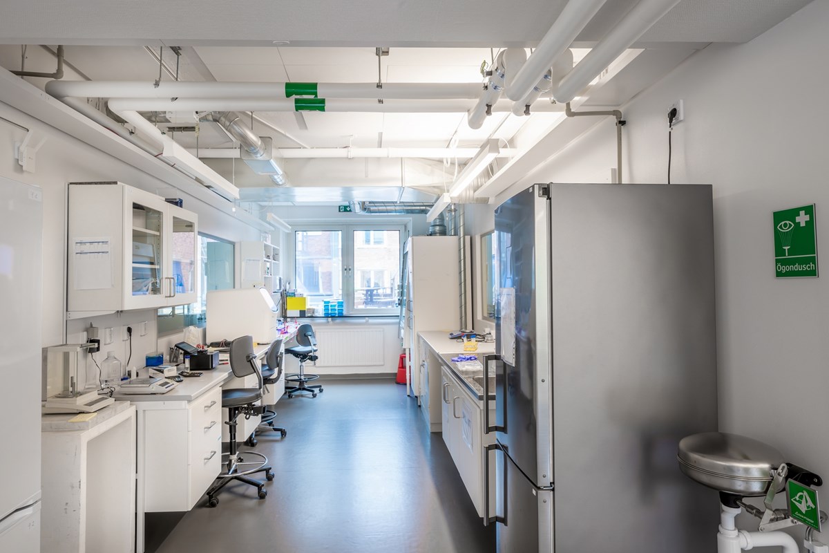 Lab